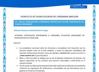 Representan sentimientos o emociones utilizando expresiones en mapuchezugun o chedugun