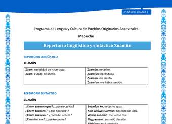 Repertorio lingüístico y sintáctico Zuamün