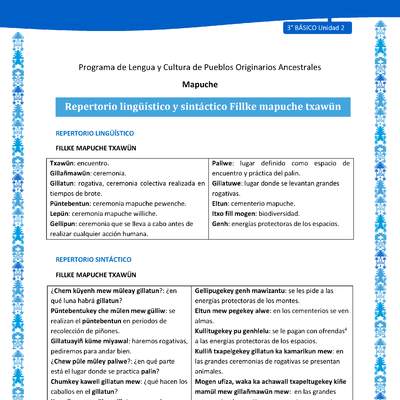 Repertorio lingüístico y sintáctico Fillke mapuche txawün