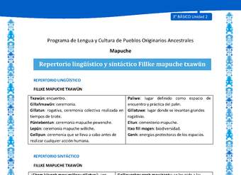 Repertorio lingüístico y sintáctico Fillke mapuche txawün