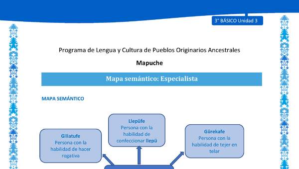 Mapa semántico: Especialista