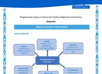 Mapa semántico: Especialista