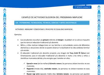 Indagan y comentan el principio de dualidad mapuche