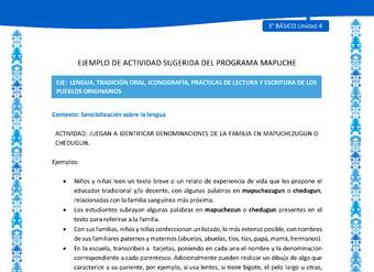Juegan a identificar denominaciones de la familia en mapuchezugun o chedugun