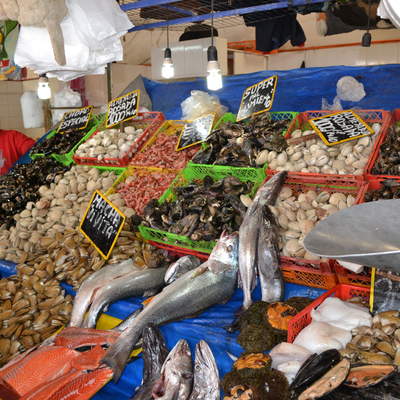 Caleta con pescado a la venta