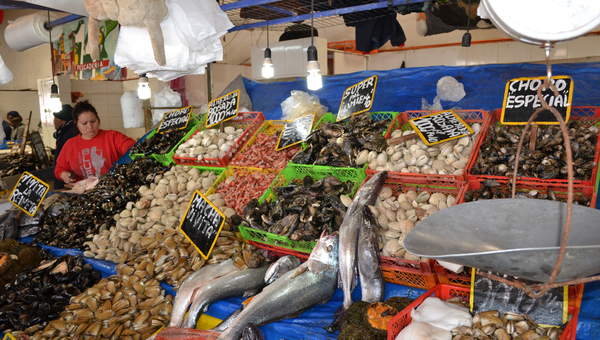 Caleta con pescado a la venta