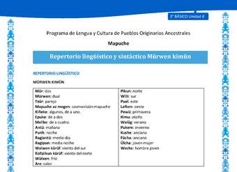 Repertorio lingüístico y sintáctico Mürwen kimün