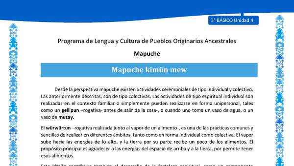 Mapuche kimün mew