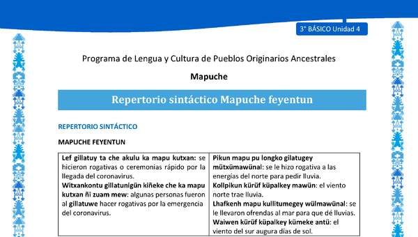 Repertorio sintáctico Mapuche feyentun