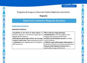 Repertorio sintáctico Mapuche feyentun