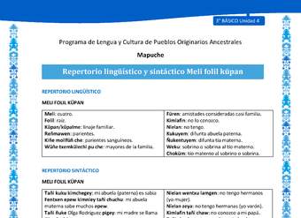 Repertorio lingüístico y sintáctico Meli folil küpan