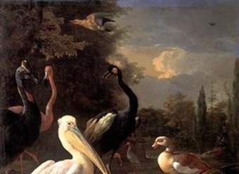 La pluma flotante de Melchior D'hondecoeter