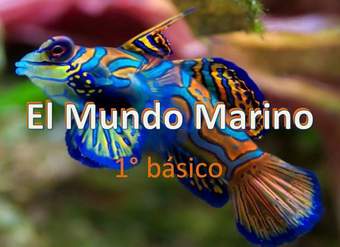 Mundo marino