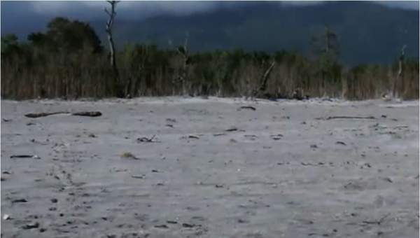 Consecuencias de la erupción del volcán Chaitén