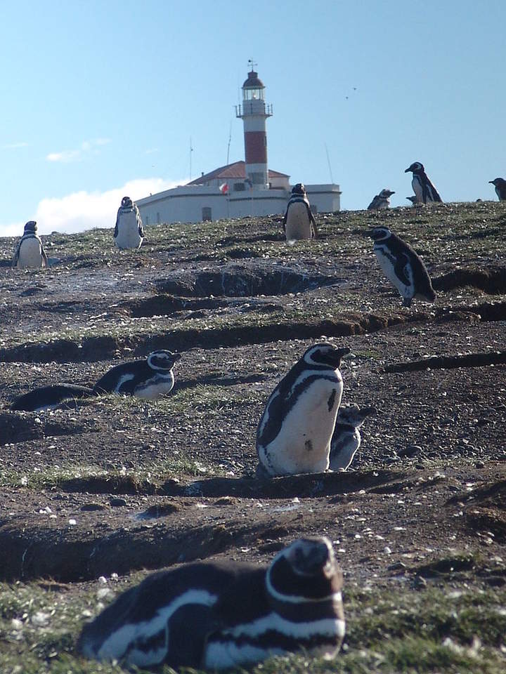 Faro Isla Magdalena