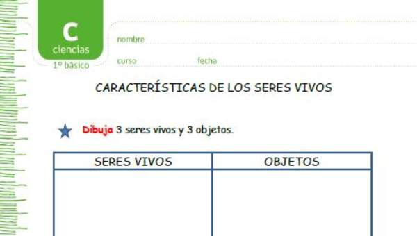 Características de los seres vivos