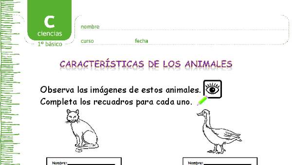 Características de los animales