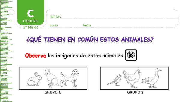 ¿Qué tienen en común estos animales?