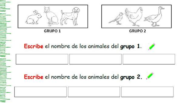 ¿Qué tienen en común estos animales?