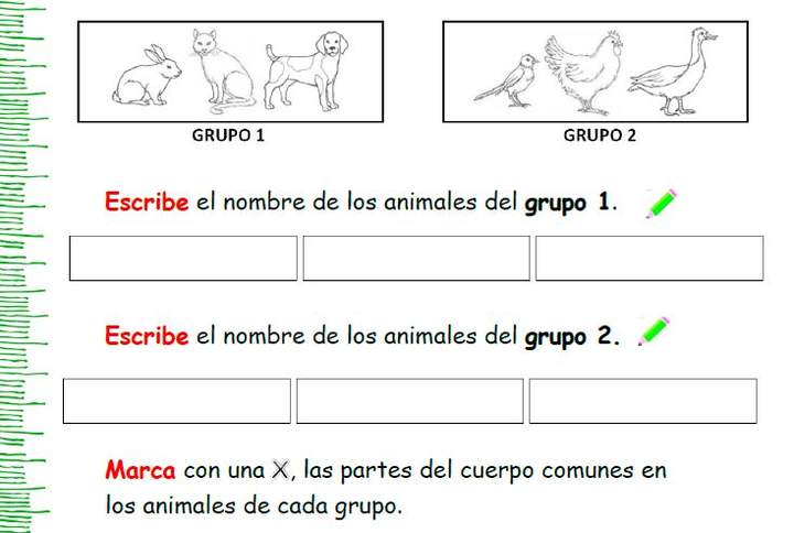 ¿Qué tienen en común estos animales?