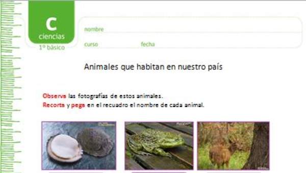 Animales que habitan en nuestro país