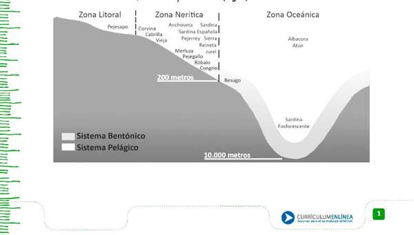 Extracción de recursos marinos