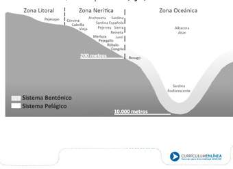 Extracción de recursos marinos