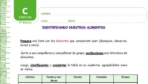 Identificando nuestros alimentos