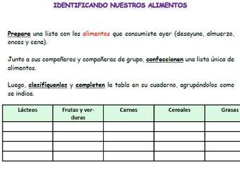 Identificando nuestros alimentos