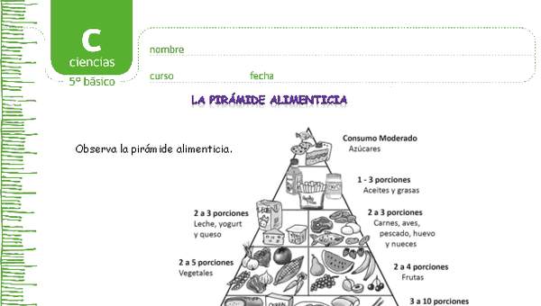 Pirámide alimenticia