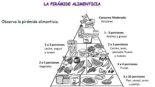 Pirámide alimenticia