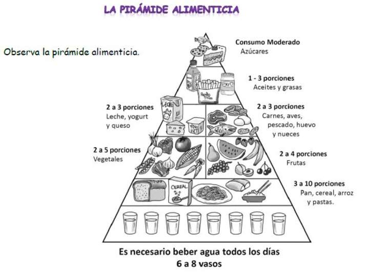 Pirámide alimenticia