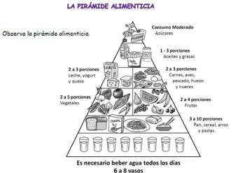 Pirámide alimenticia