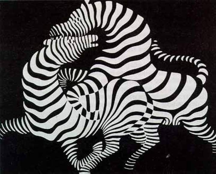 Zebra de Victor Vasarely