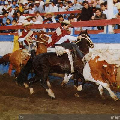 Fiesta del rodeo