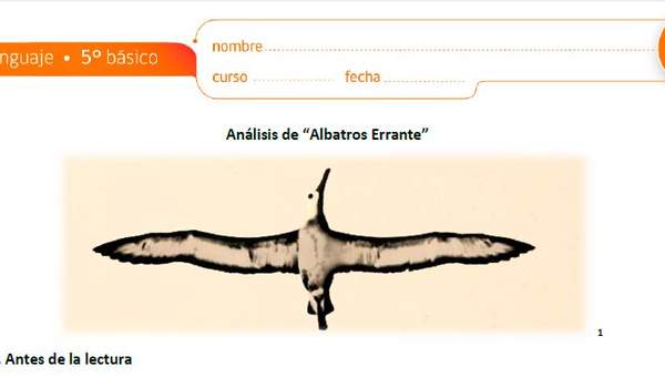 Análisis de Albatros Errante