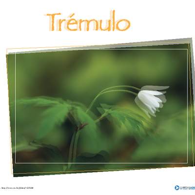 Afiche de vocabulario: trémulo