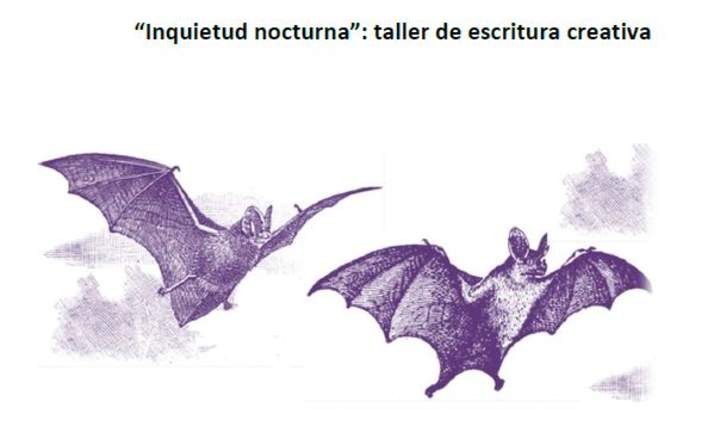 Taller de escritura: Inquietud nocturna