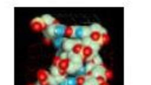 Macromolécula de ADN