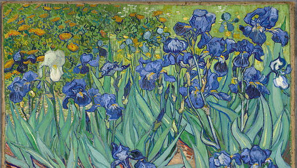 Irises de Vincent Van Gogh