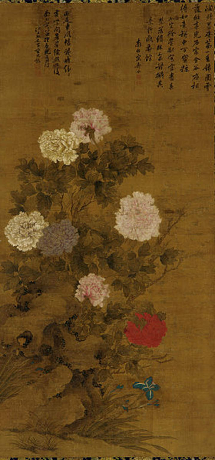 Peonias de Yun Shouping