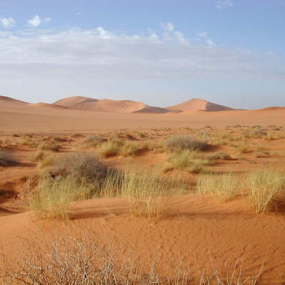 Desierto del Sahara