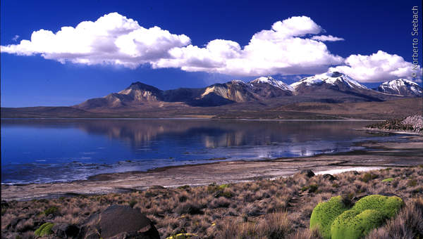 Lago Chungará