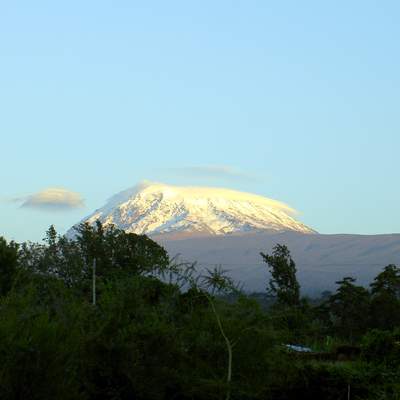 Kilimanjaro