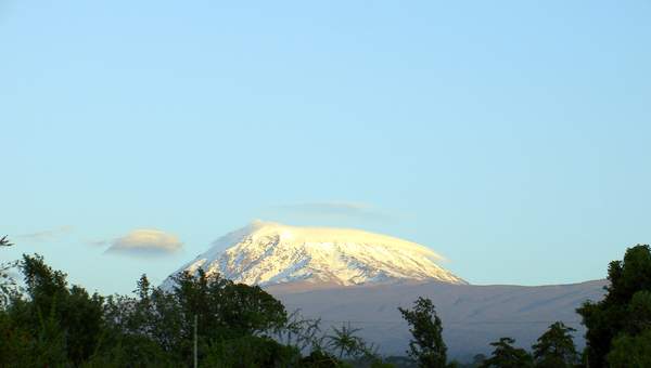 Kilimanjaro