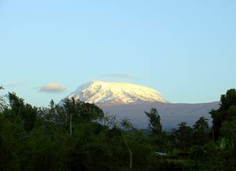 Kilimanjaro