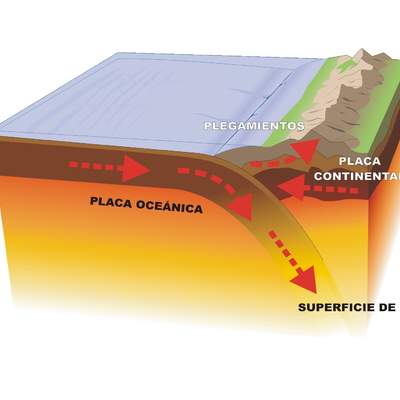 Contacto entre una placa oceánica y continental rotulado