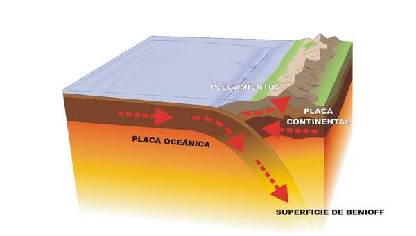 Contacto entre una placa oceánica y continental rotulado