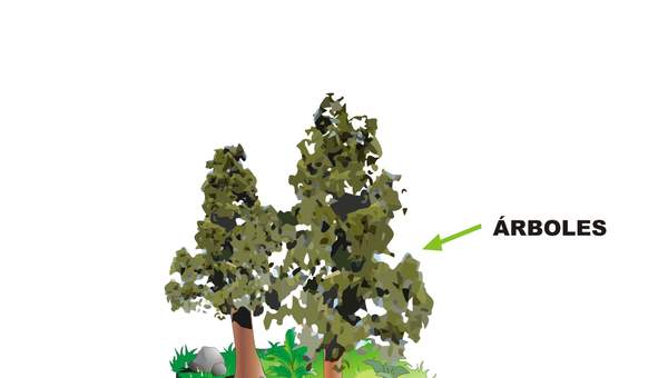 Estructura del suelo sin rotular