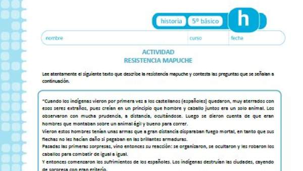 Resistencia mapuche